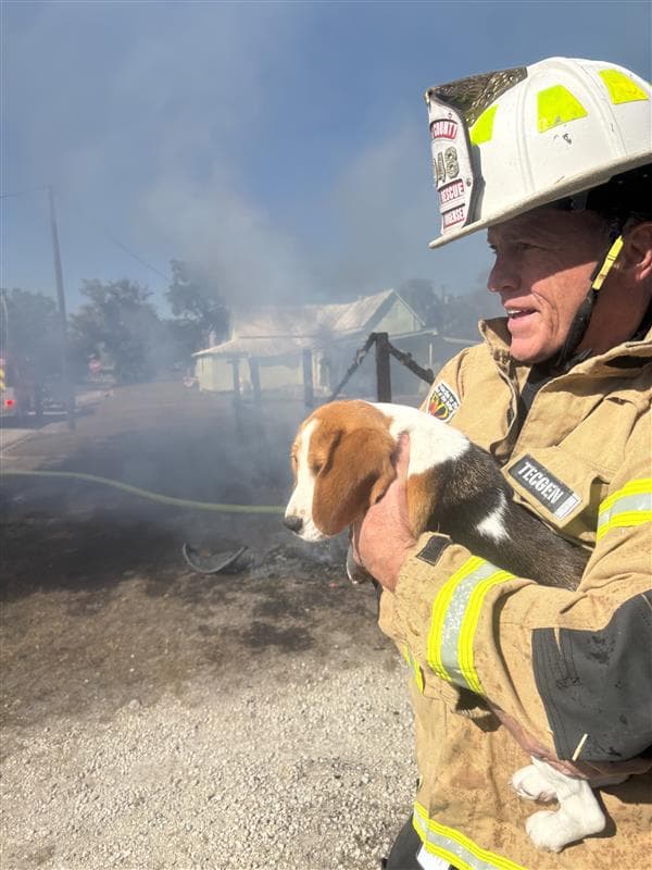 Six people, two dogs safe after DeSoto County house fire