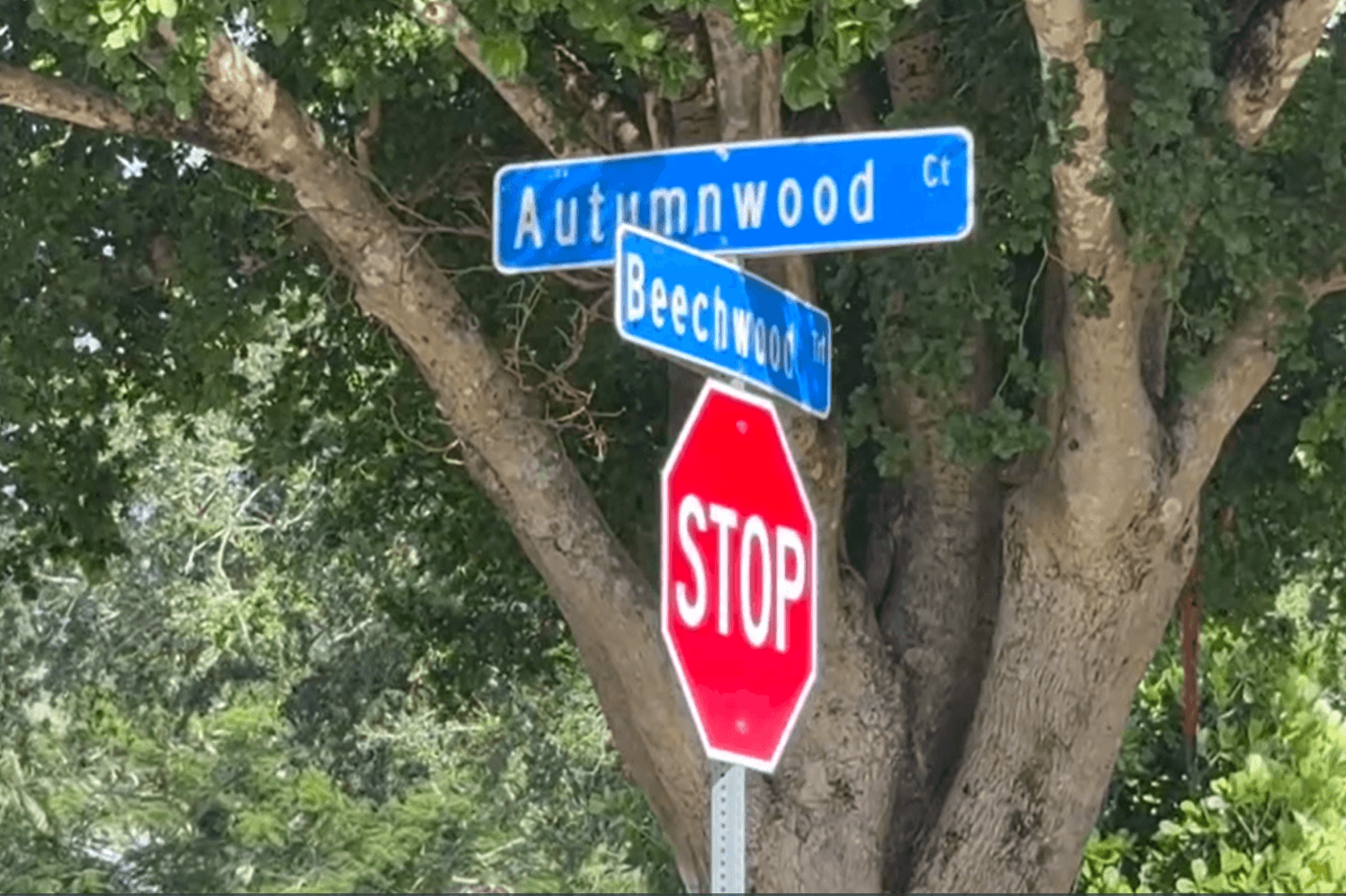 Lee County deputies say 6-year-old boy died Sunday after 'drowning incident'