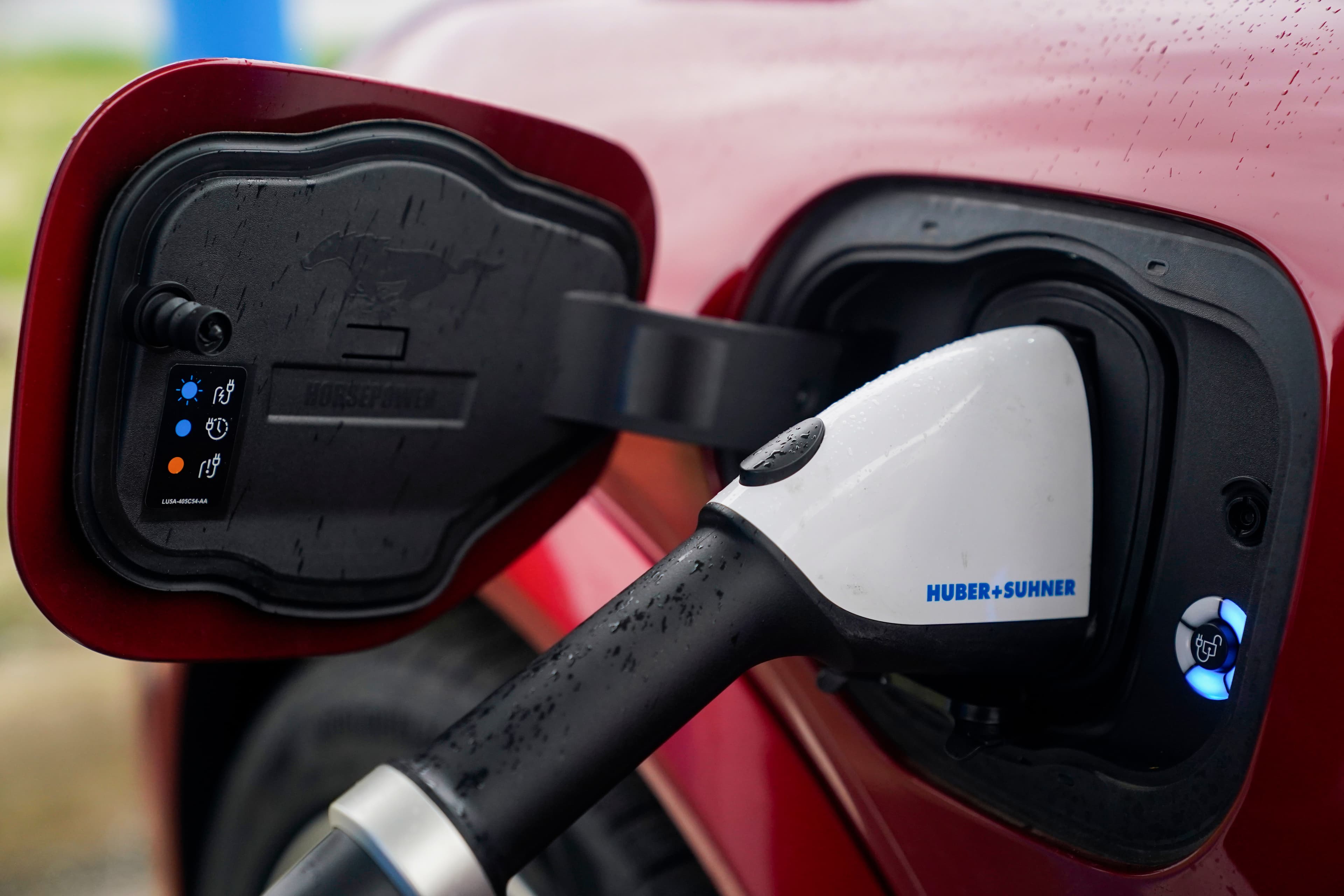 Electric vehicle sales slow in the US. What's behind the decline?