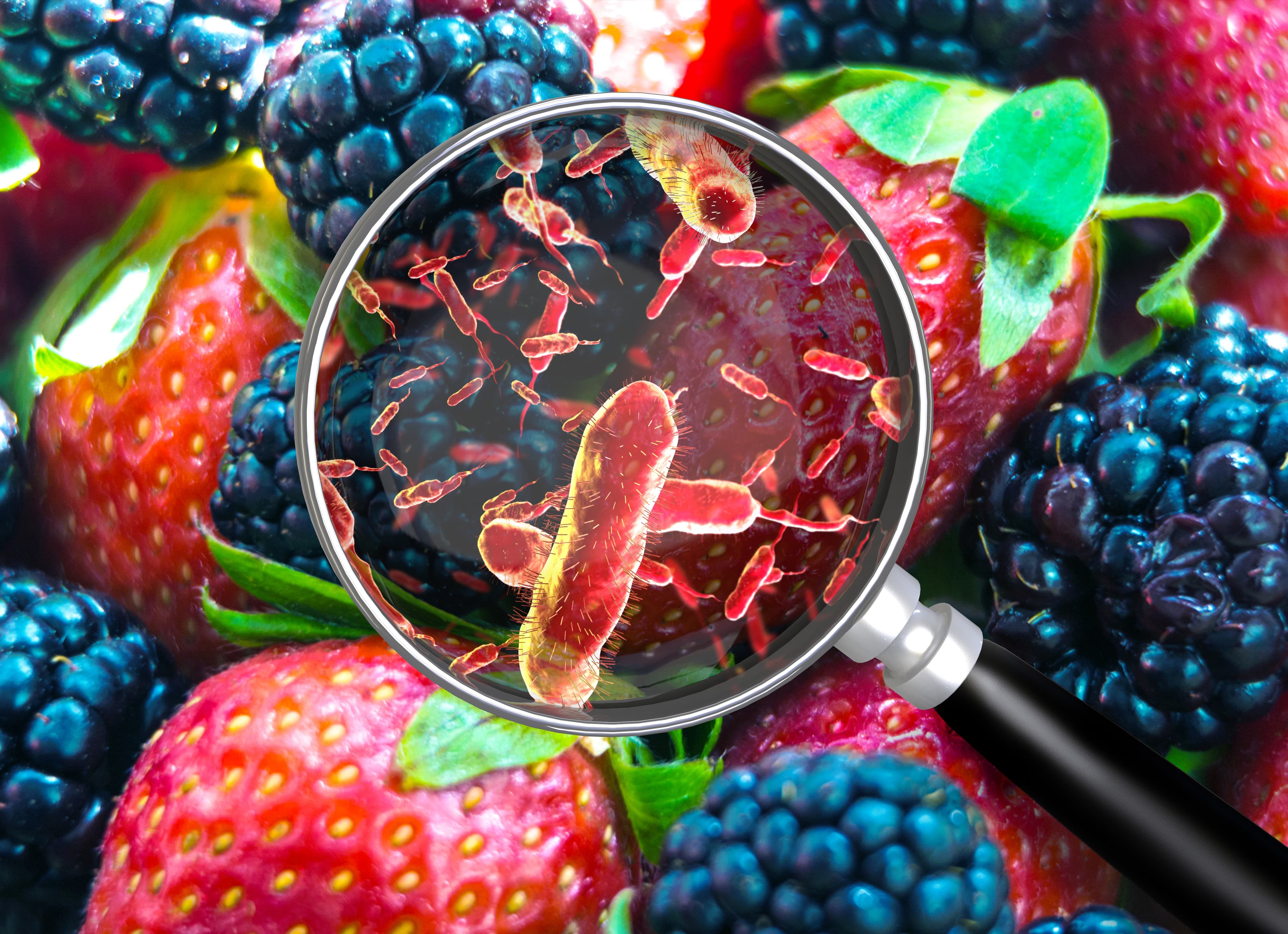 Listeria danger: FDA reports 11 deaths from contaminated frozen shakes