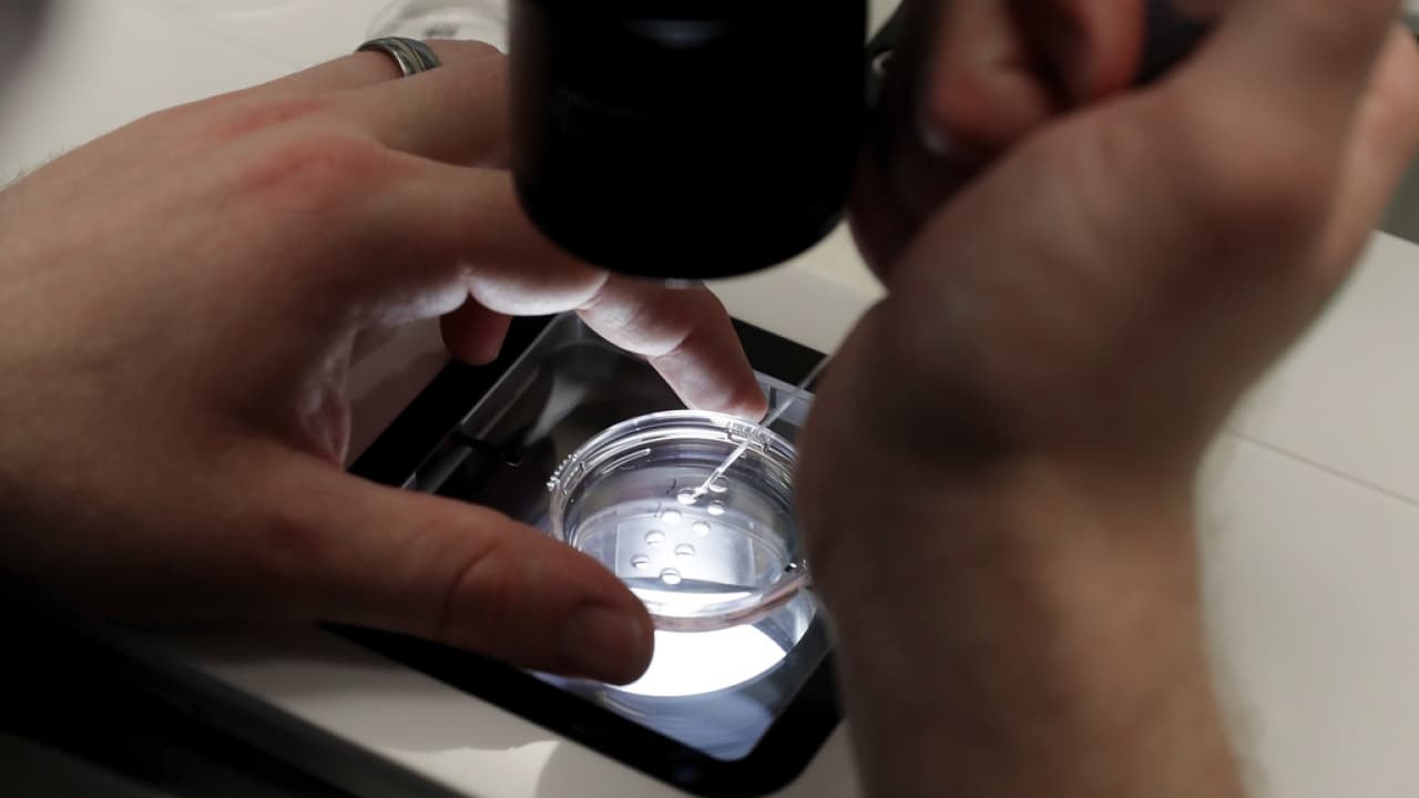 Here's how a new executive order will expand IVF access