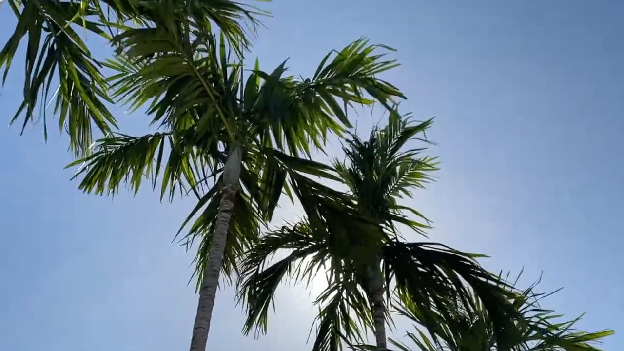 34.4 million people visited Florida in 3 months, breaking tourism record