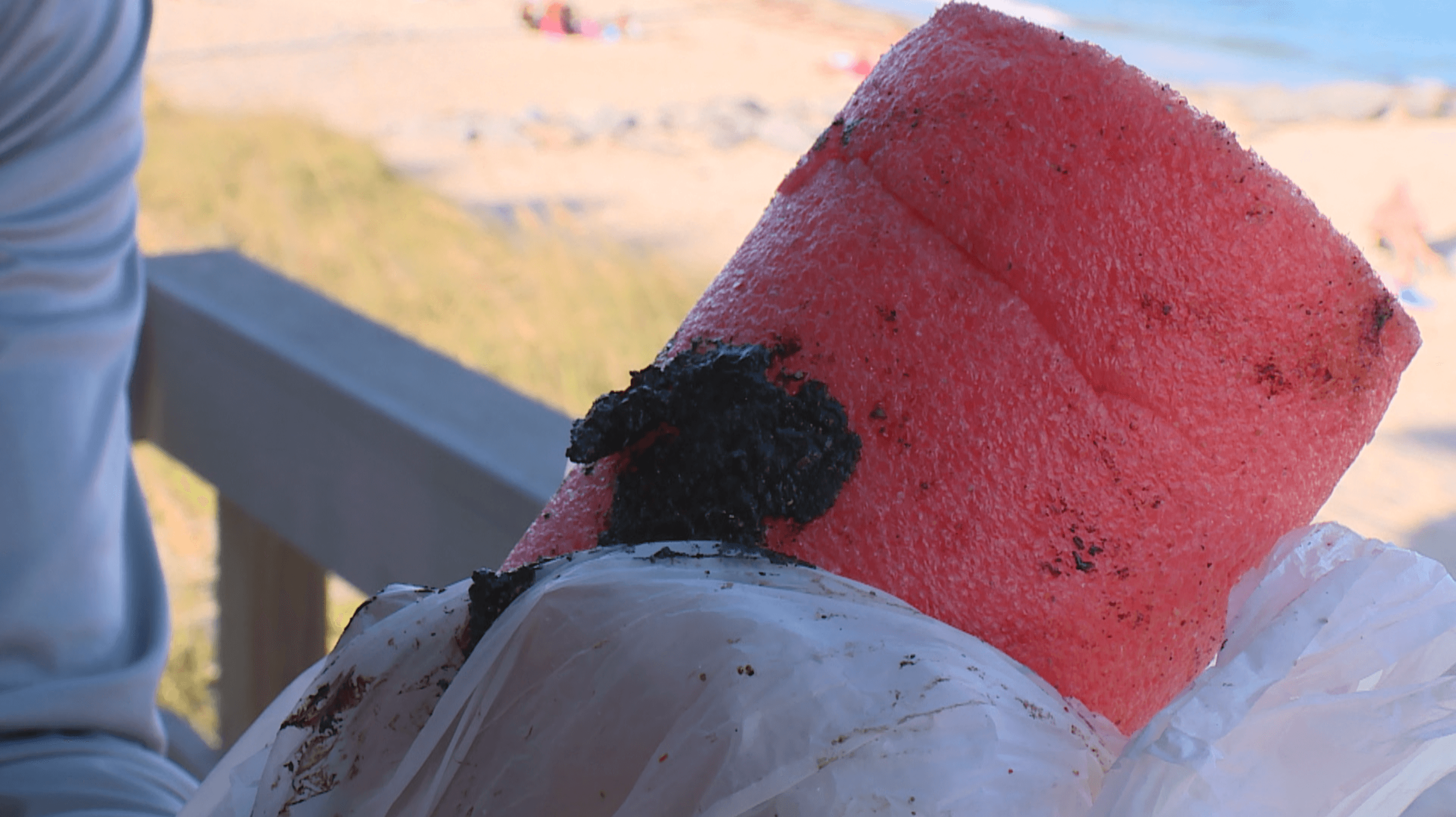 STICKY SITUATION: What turned up along some South Florida beaches this weekend
