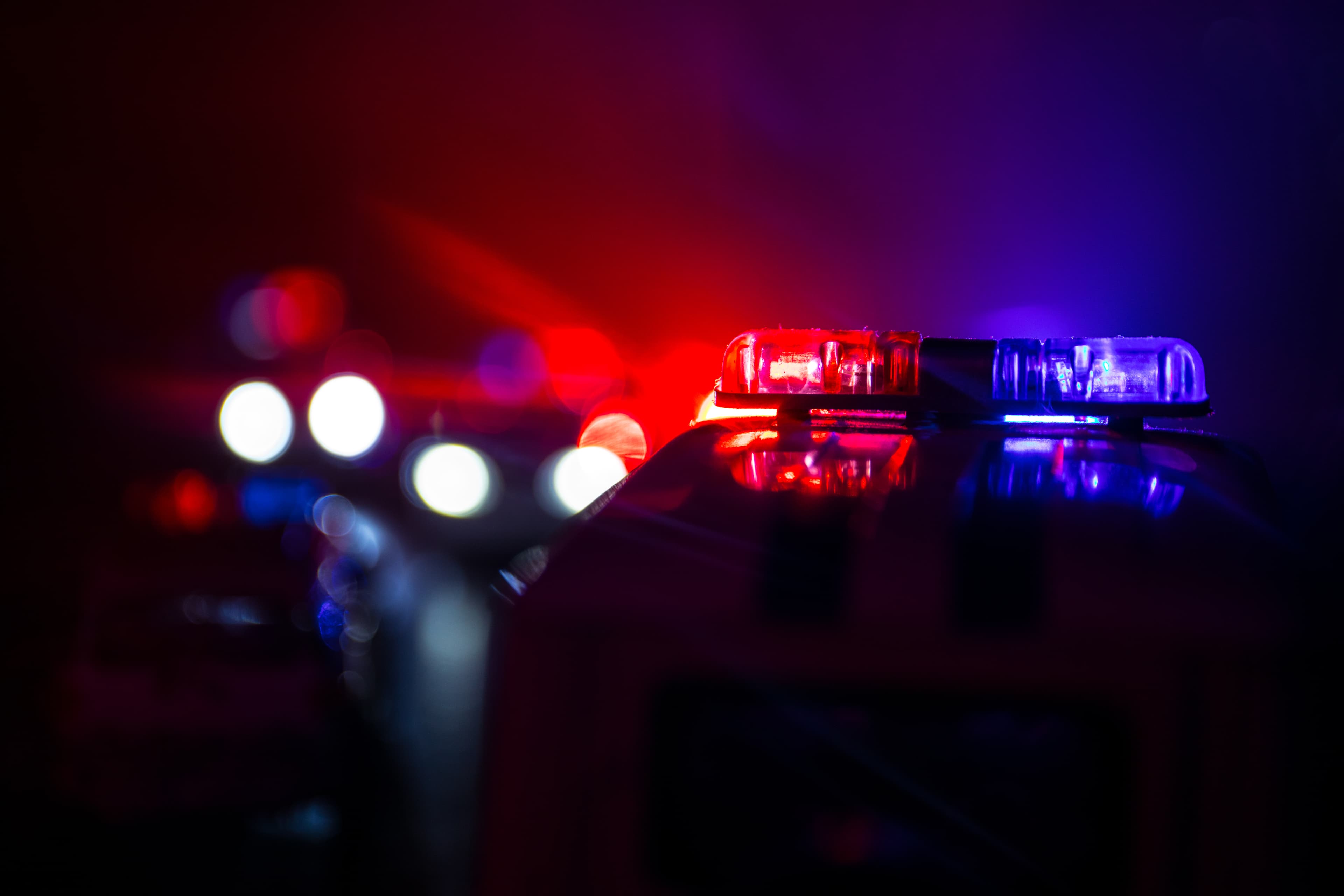 Fort Myers Police charge man with having $33k worth of fraudulent checks
