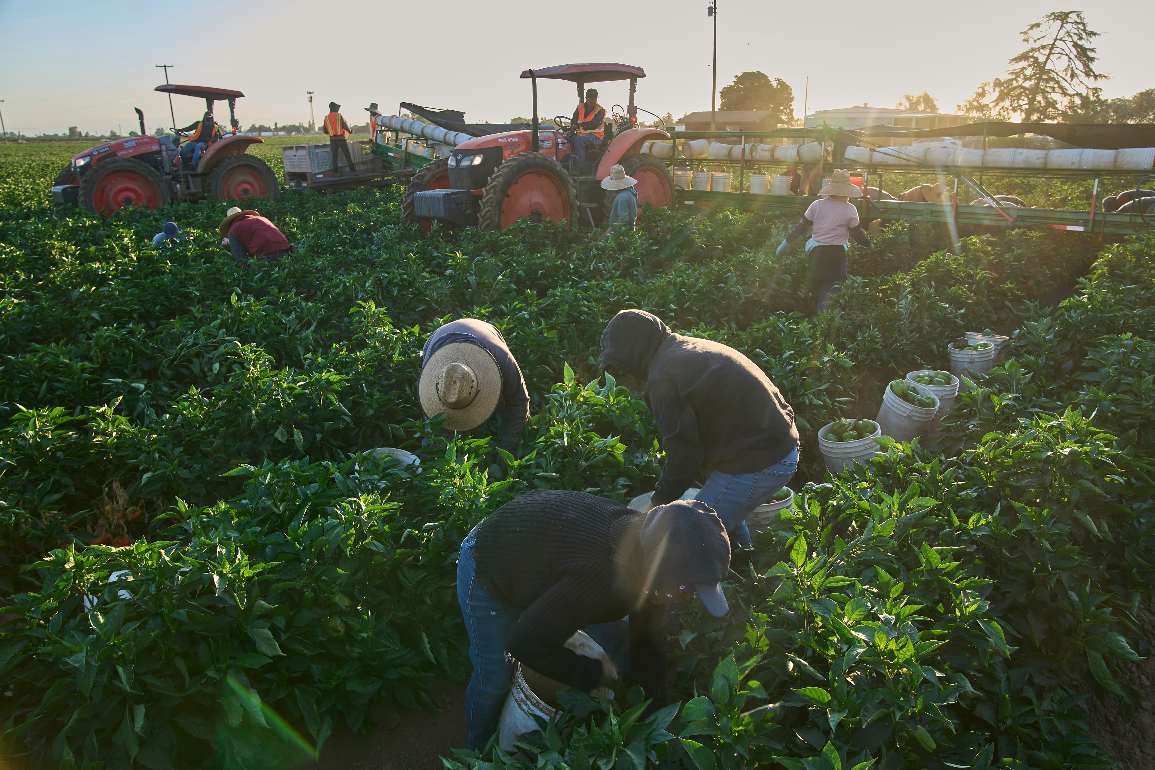 1.2 million immigrants are now gone from the US labor force this labor day