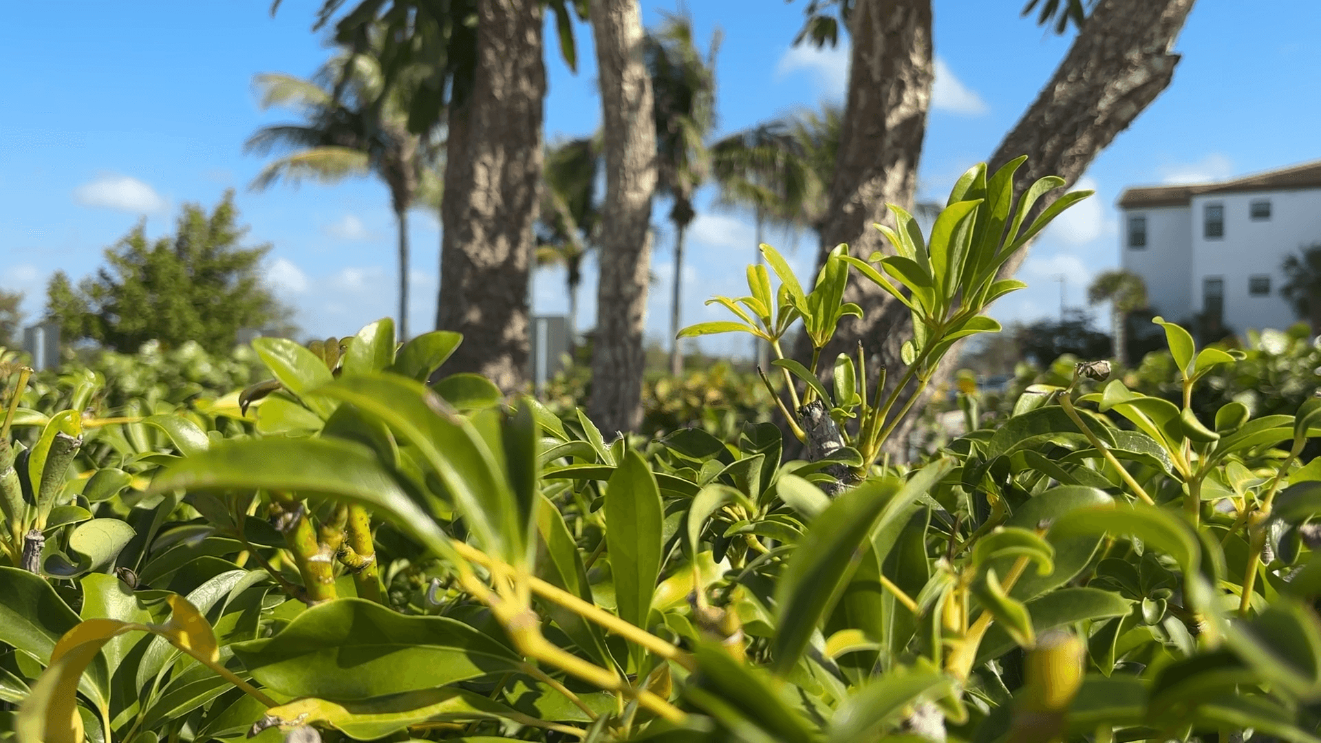 Spring is in the air—and so are allergies! How to survive the sneezin’ season