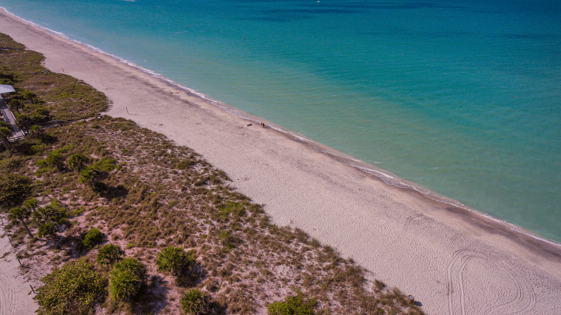 Hybrid coral reef restoration could save lives and dollars, study finds