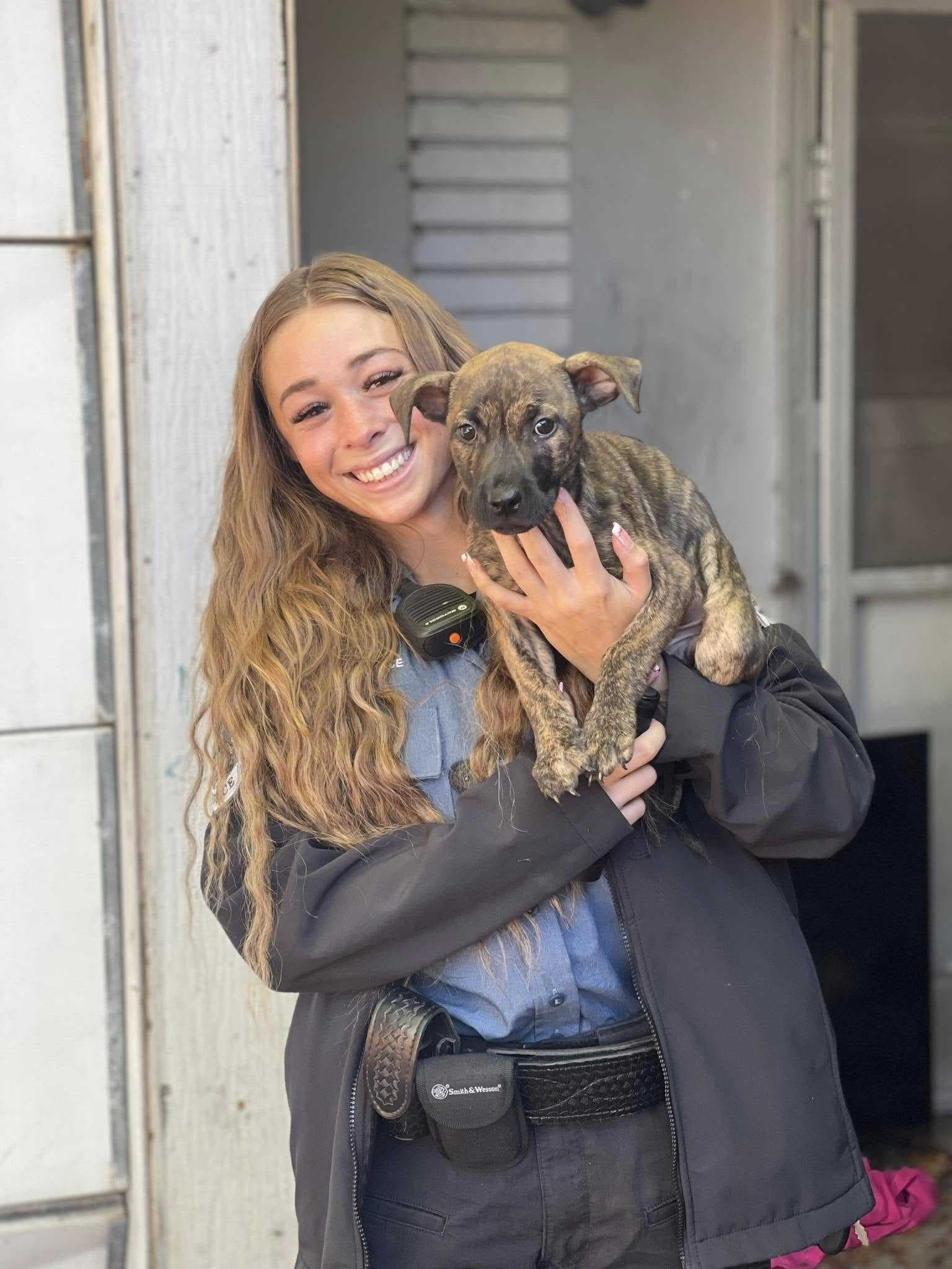 Fort Myers police rescue 5 dogs left behind when homeowners move out