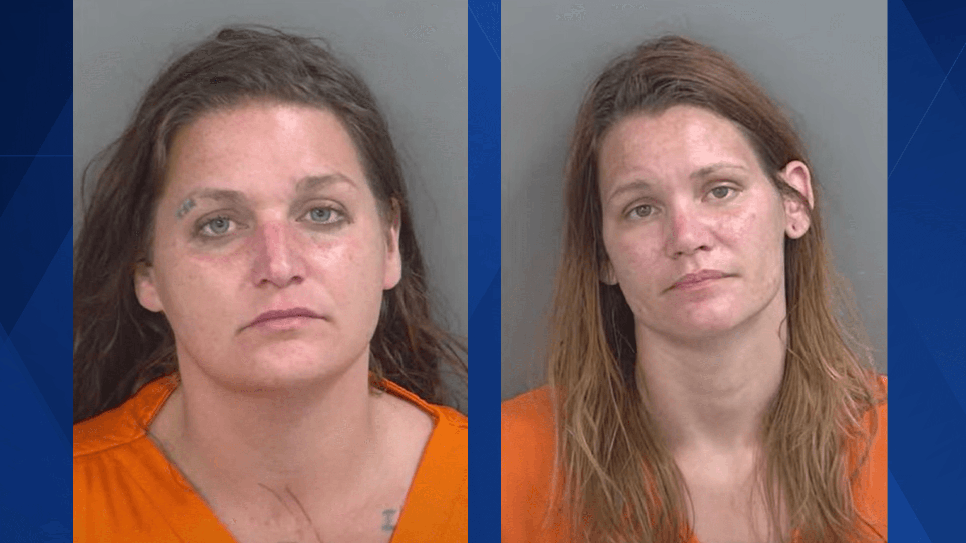 Two North Florida women accused of carjacking arrested after chase on I-75