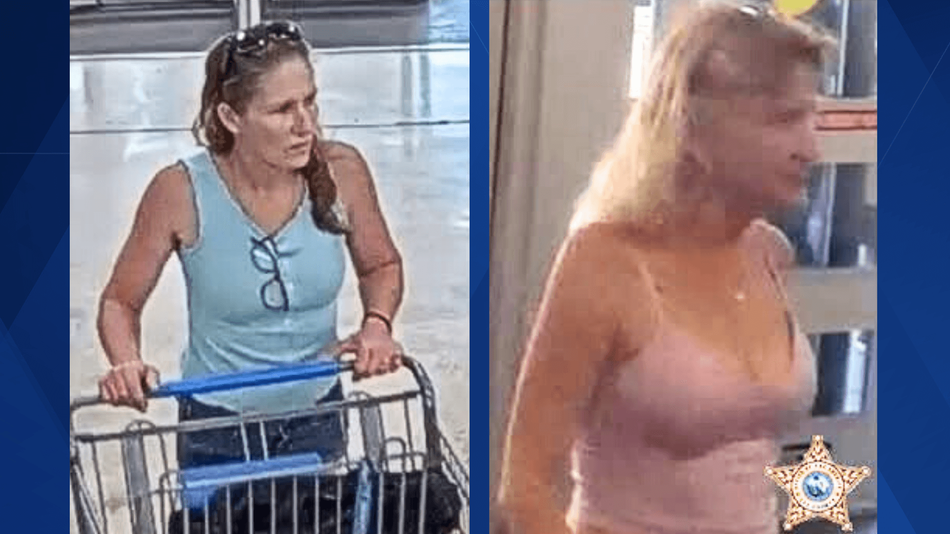 Two suspects wanted in North Fort Myers Walmart felony theft