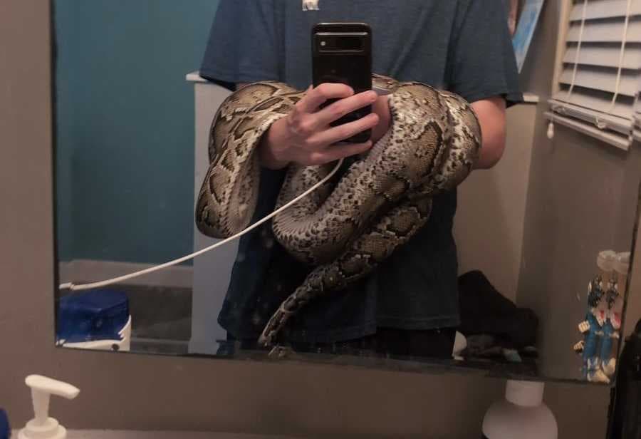 "It's Ground Zero;" Chokoloskee residents sound the alarm over Burmese Python invasion