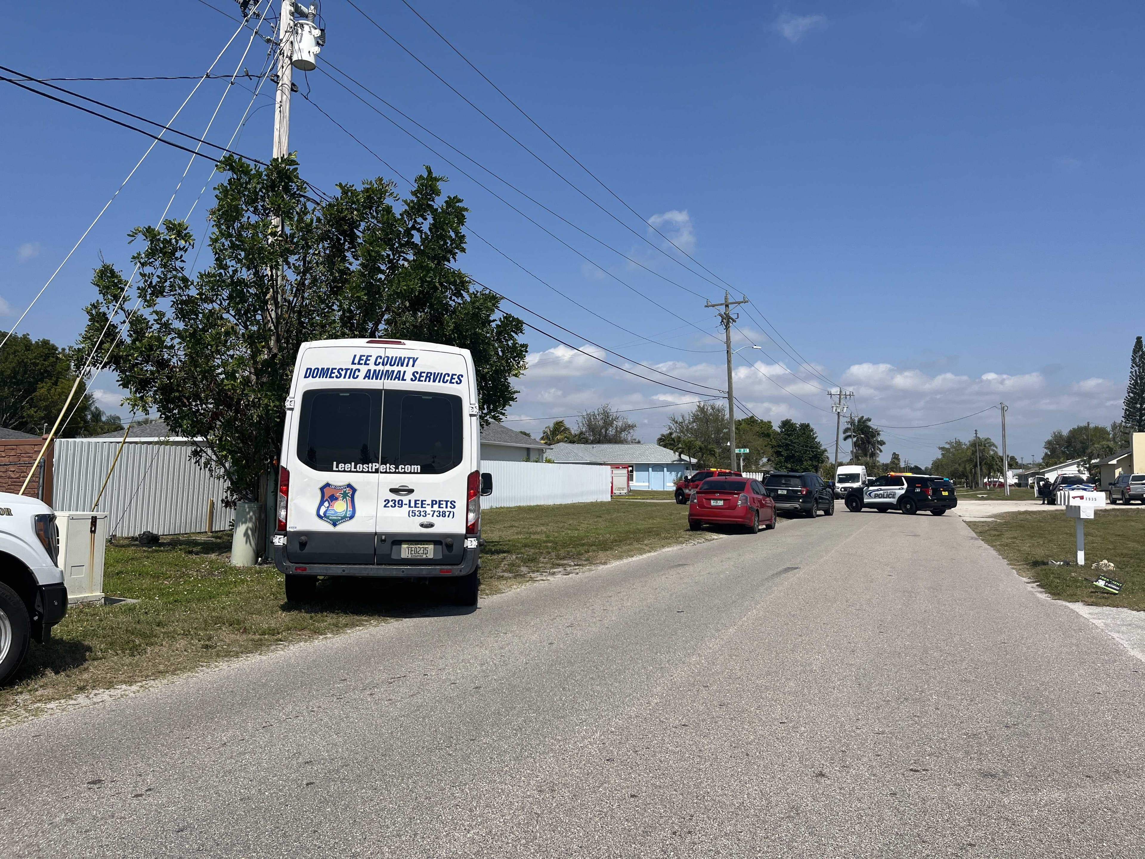 At least six dogs dead, 3 revived after fire erupts in Cape Coral home