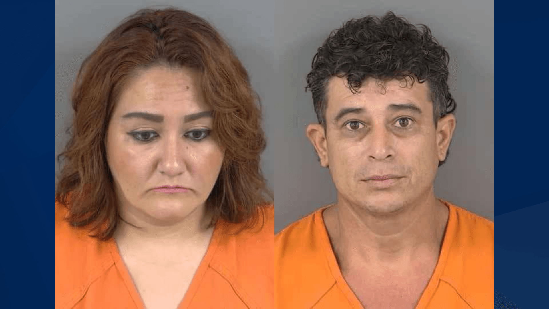 Collier County couple charged with animal cruelty after neglecting horse