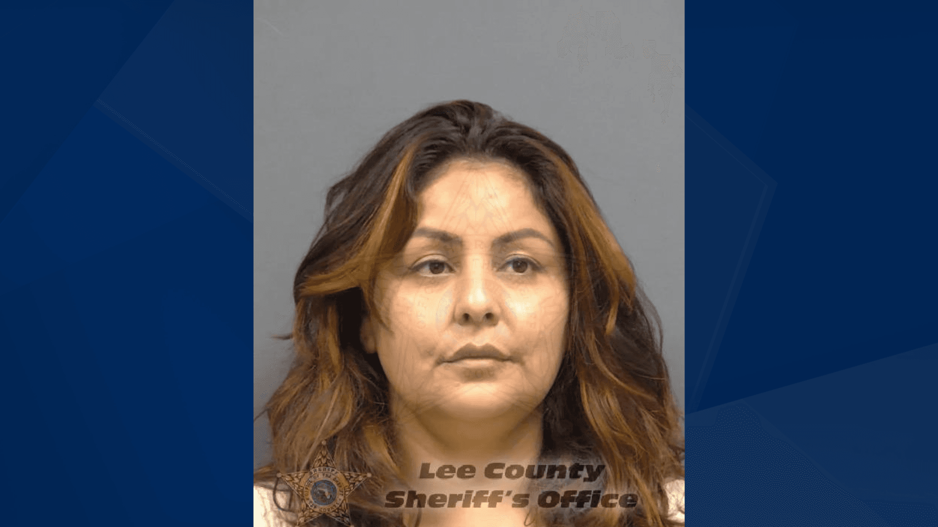 Wife of suspect in deadly hit-and-run arrested on evidence tampering charges