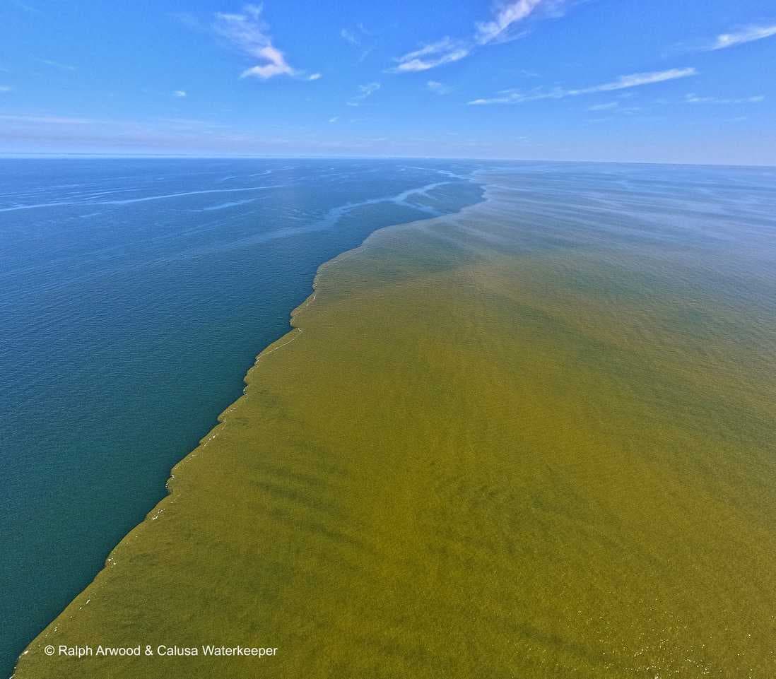 100-square-mile red tide bloom lurks off Southwest Florida coast