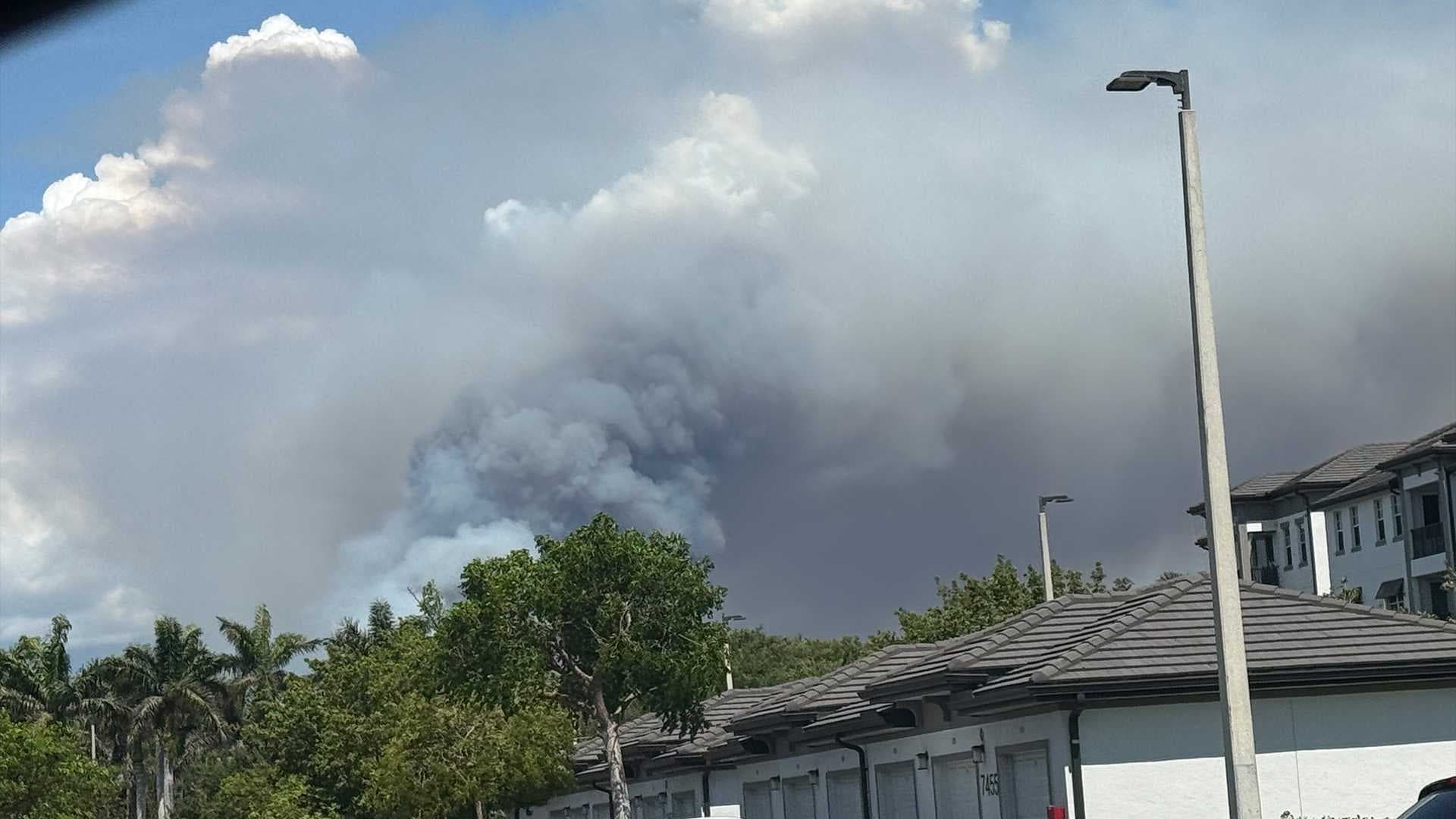 Crews battle 200-plus-acre brush fire in Picayune Strand State Forest in Collier County