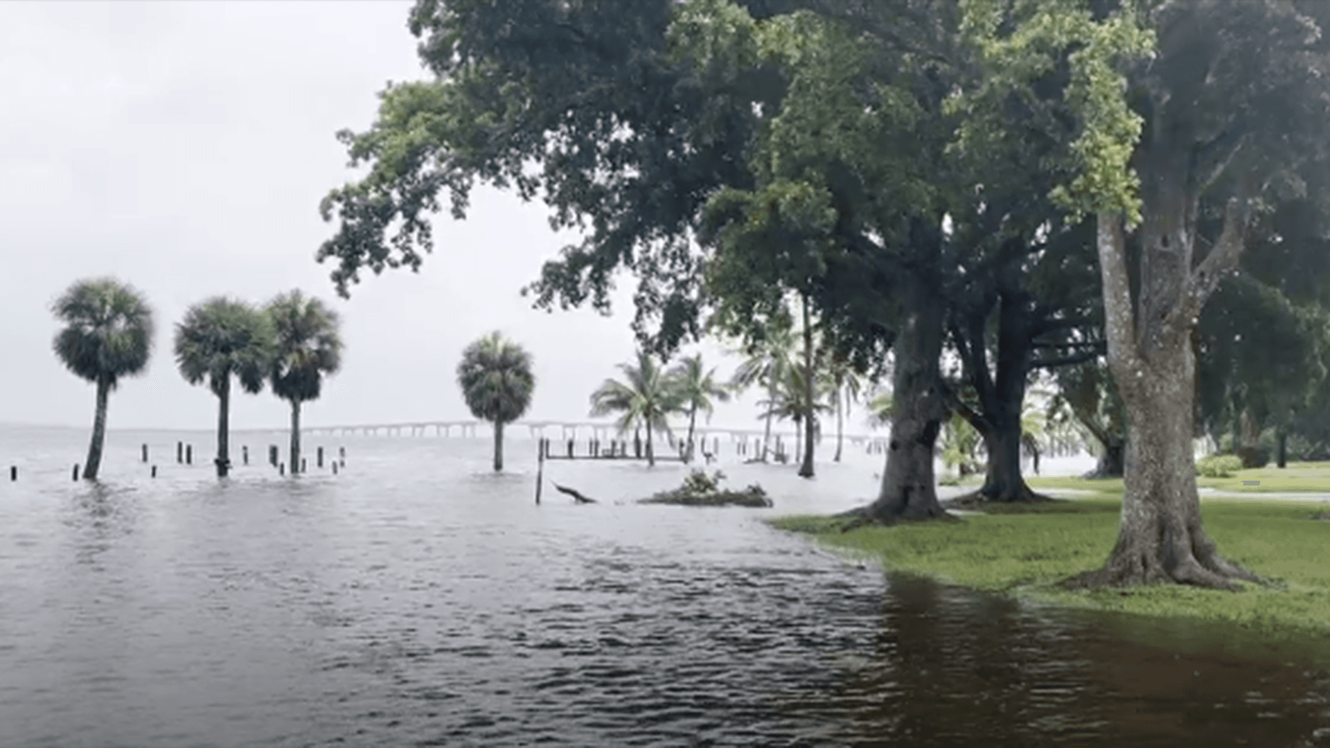 Videos and Photos: Tropical Storm Debby leaves flooding in its wake