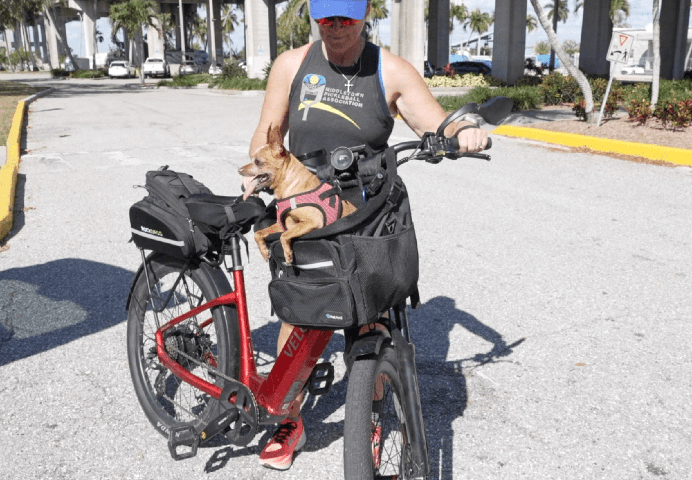 Florida e-bike safety bill aims to slow speeds on shared sidewalks