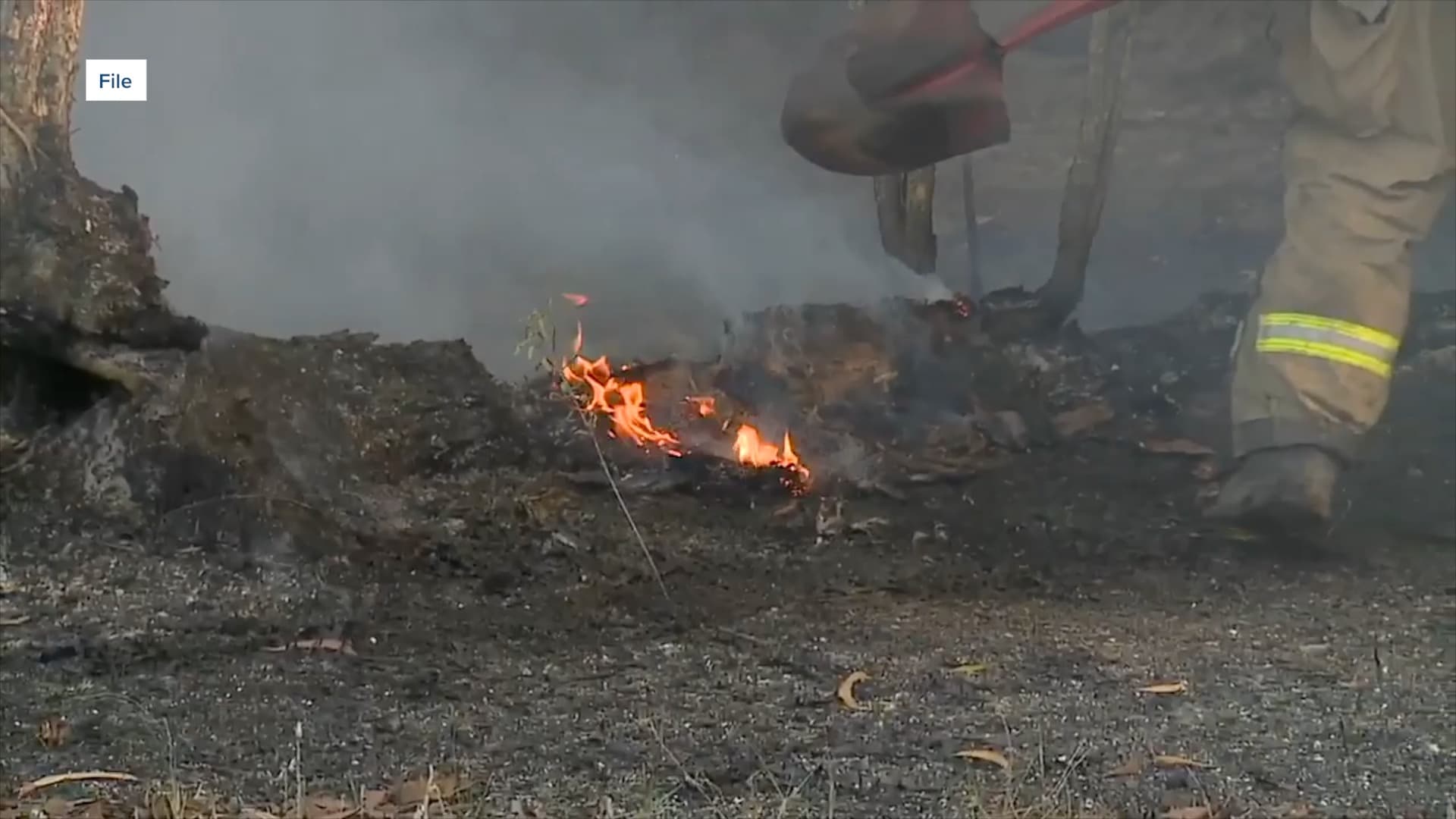 52 fires in 18 days prompt urgent plea from DeSoto County Fire Chief