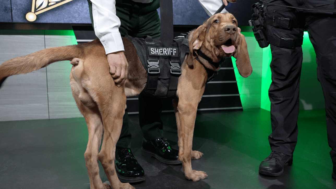 Meet the K9 that found the missing man in Buckingham Preserve