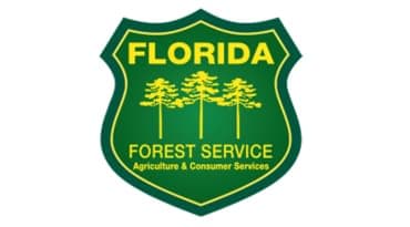 Florida Forest Service plans 818-acre prescribed burn in Picayune Strand