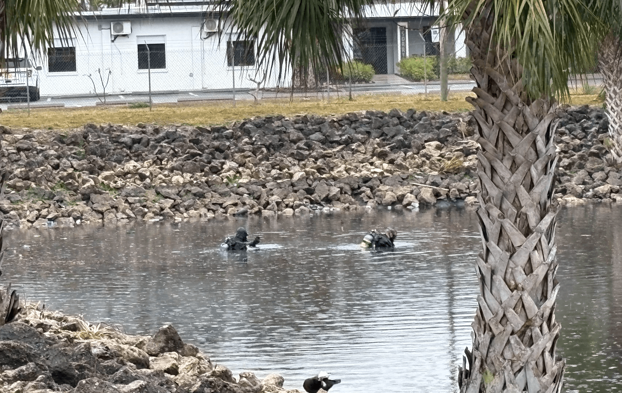 Dive teams search retention pond in Fort Myers
