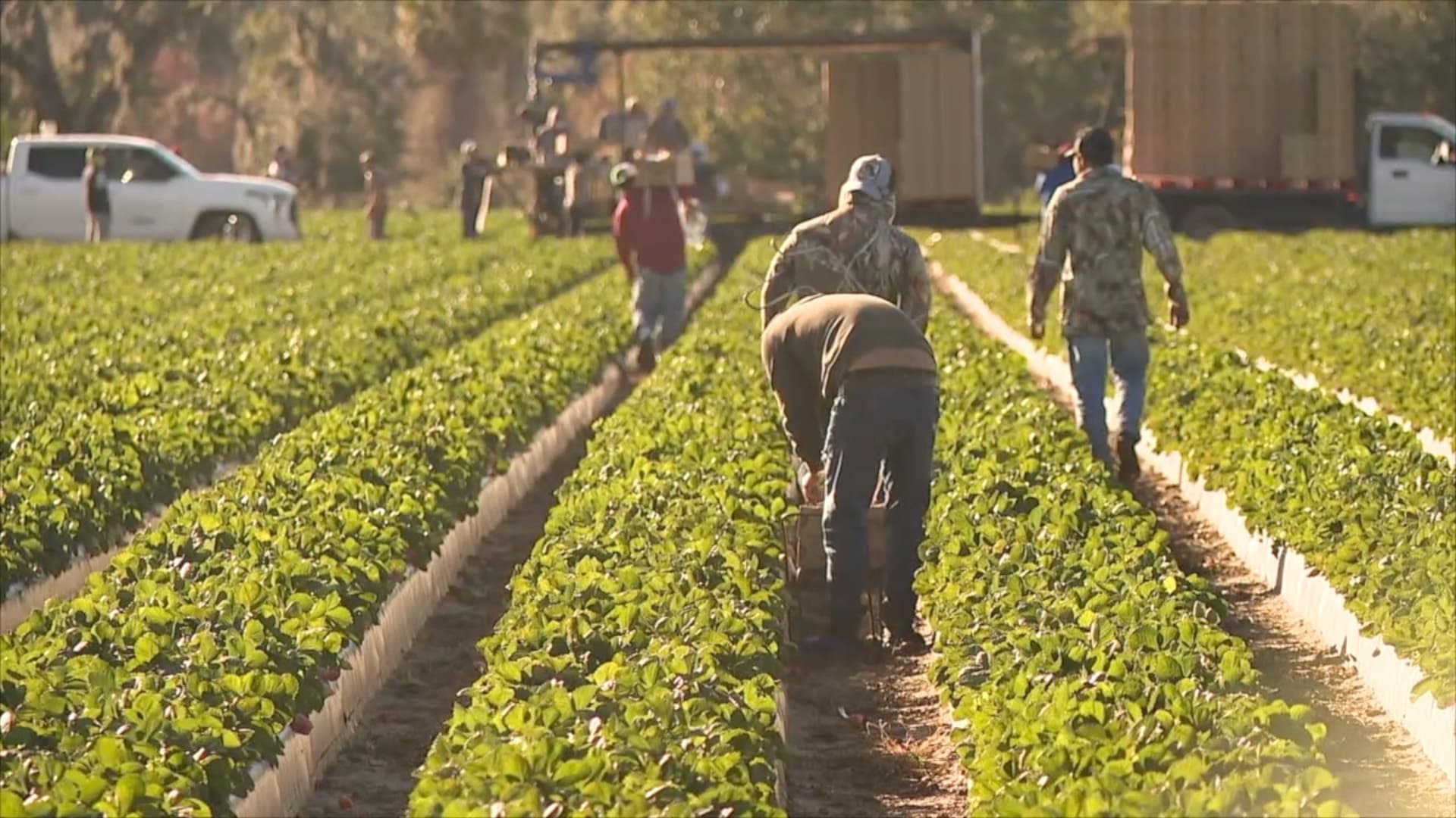 Charter captains push back against Florida farm bills over free speech concerns