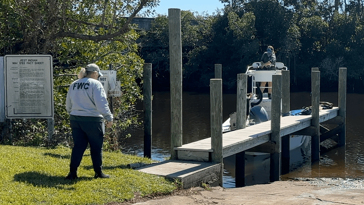 Manatee rescued near Orange Harbor amid Lee County deaths