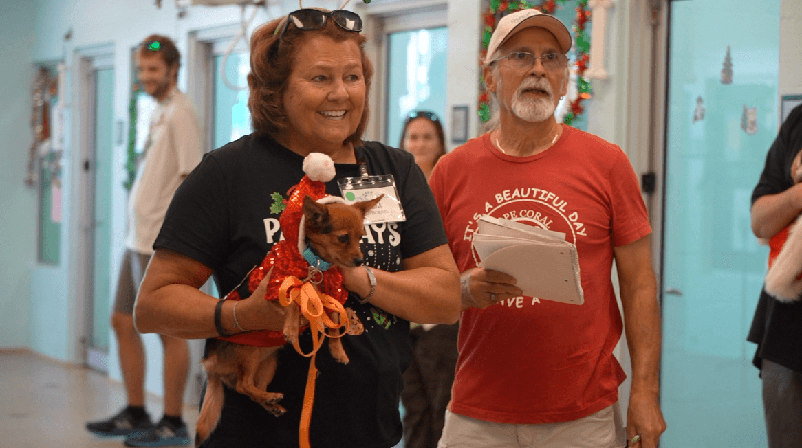 Cape Coral shelter animals get Christmas gifts from volunteers