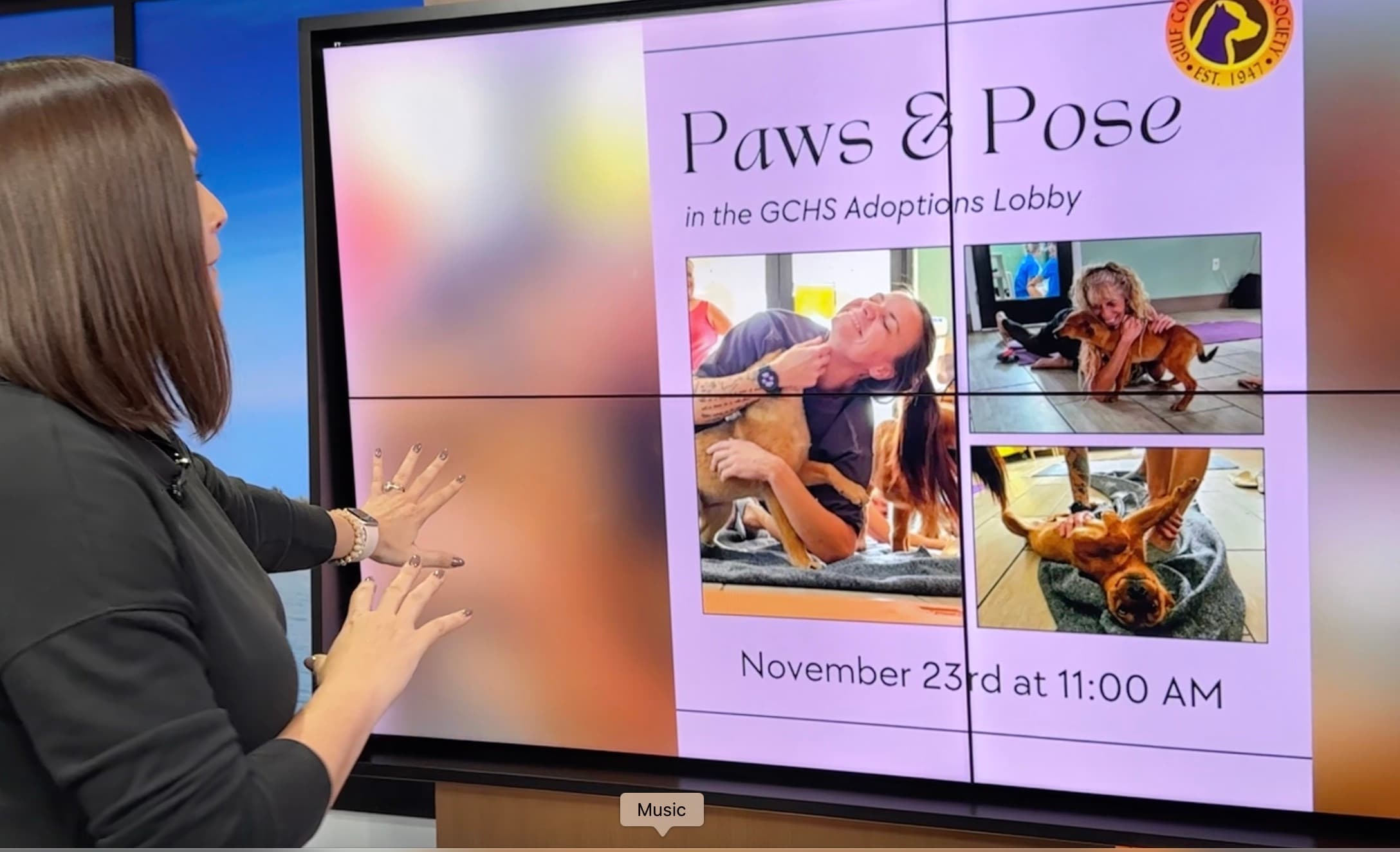 GOT PLANS? | Bollywood beats, blues music and yoga with pets