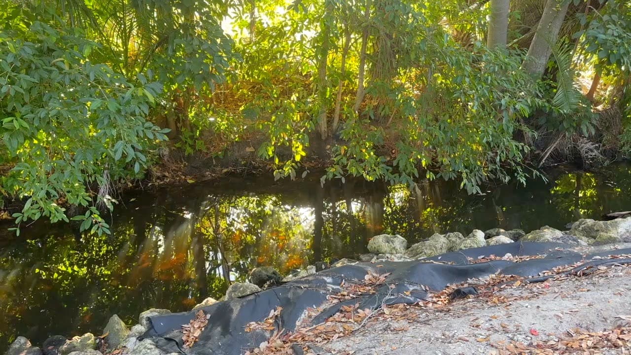 Fort Myers laid out response to fecal bacteria concerns at Manuel’s Branch