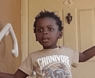 Missing boy found dead in pond, Collier County deputies say
