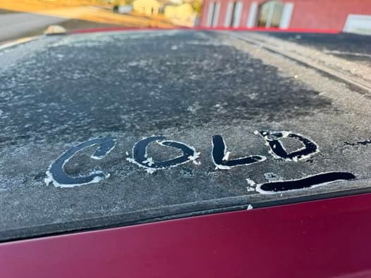 SWFL FREEZE: Here's what to expect