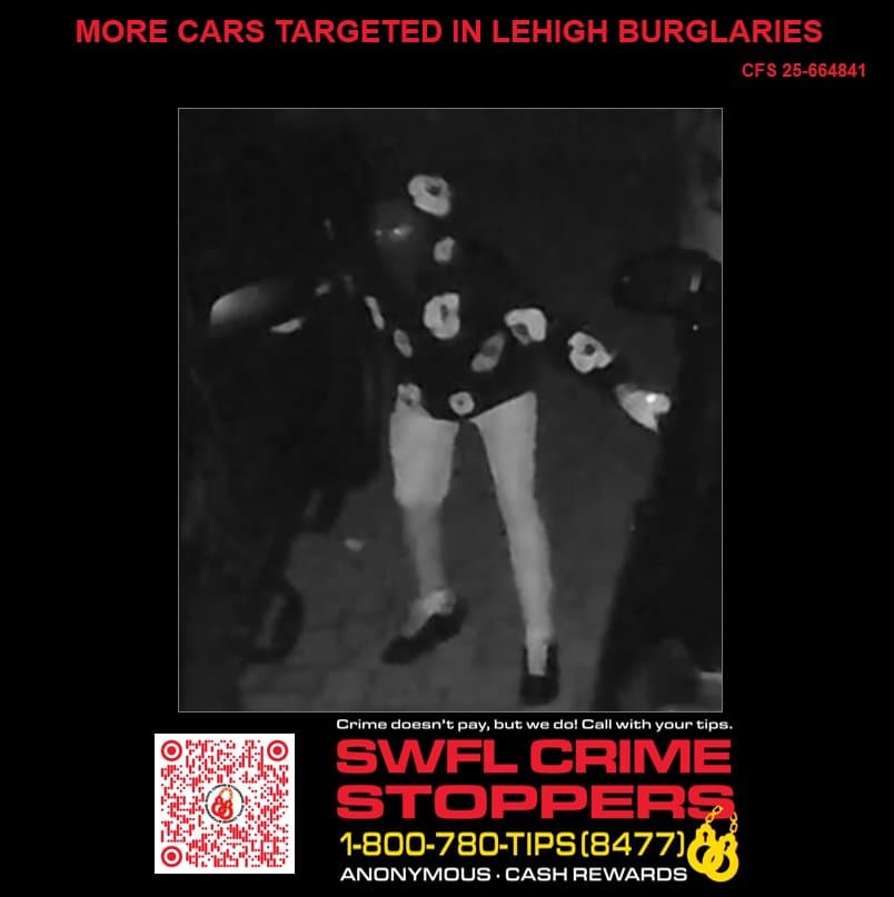 Deputies need help identifying masked suspect in Lehigh Acres vehicle break-ins