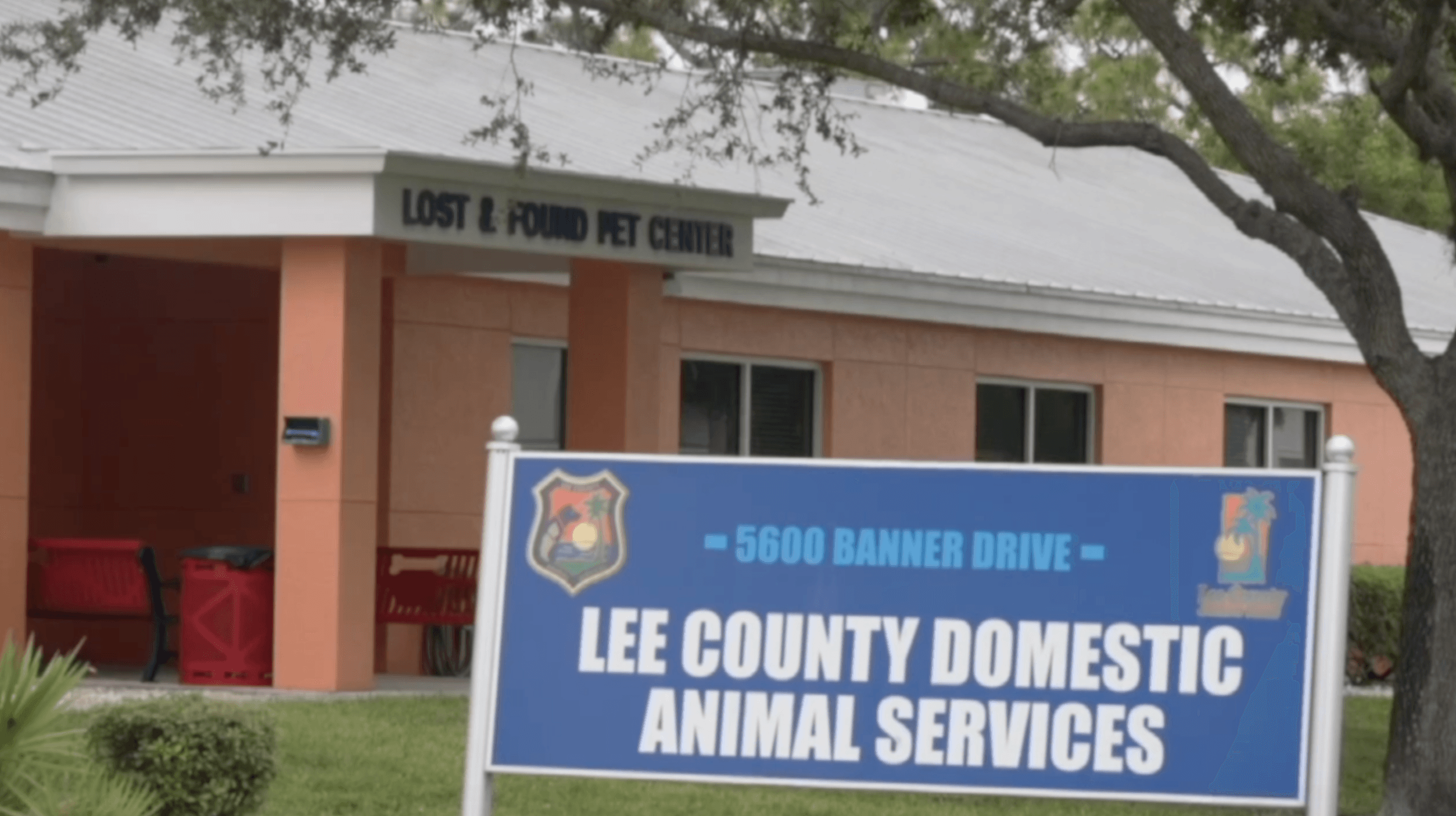 Lee County animal advocates propose $6 tax for spay and neuter clinics