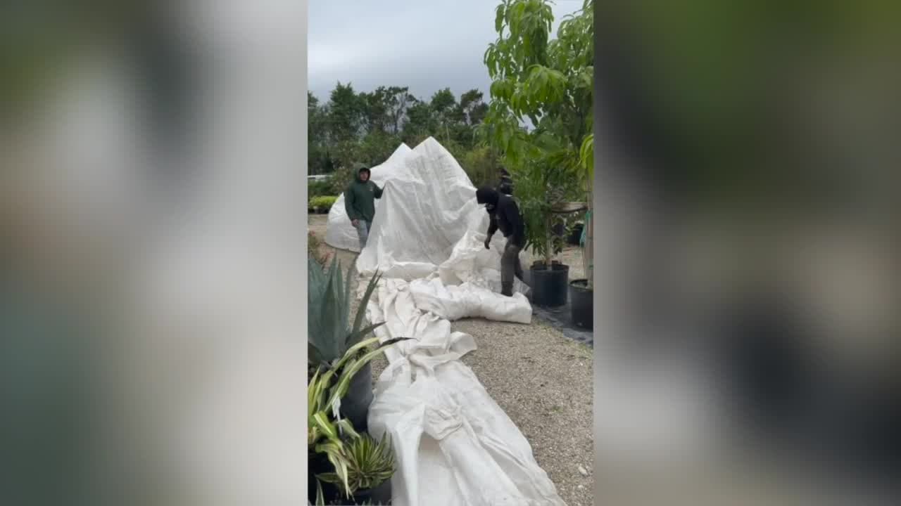Southwest Florida prepares for freezing temperatures overnight