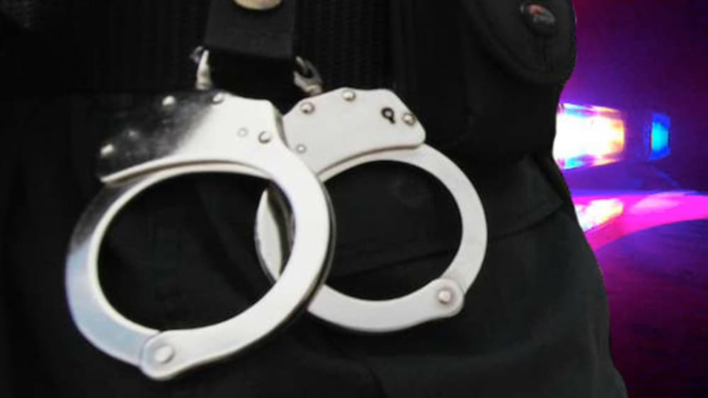 Sarasota Little League treasurer arrested after stealing $200K from group: SCSO