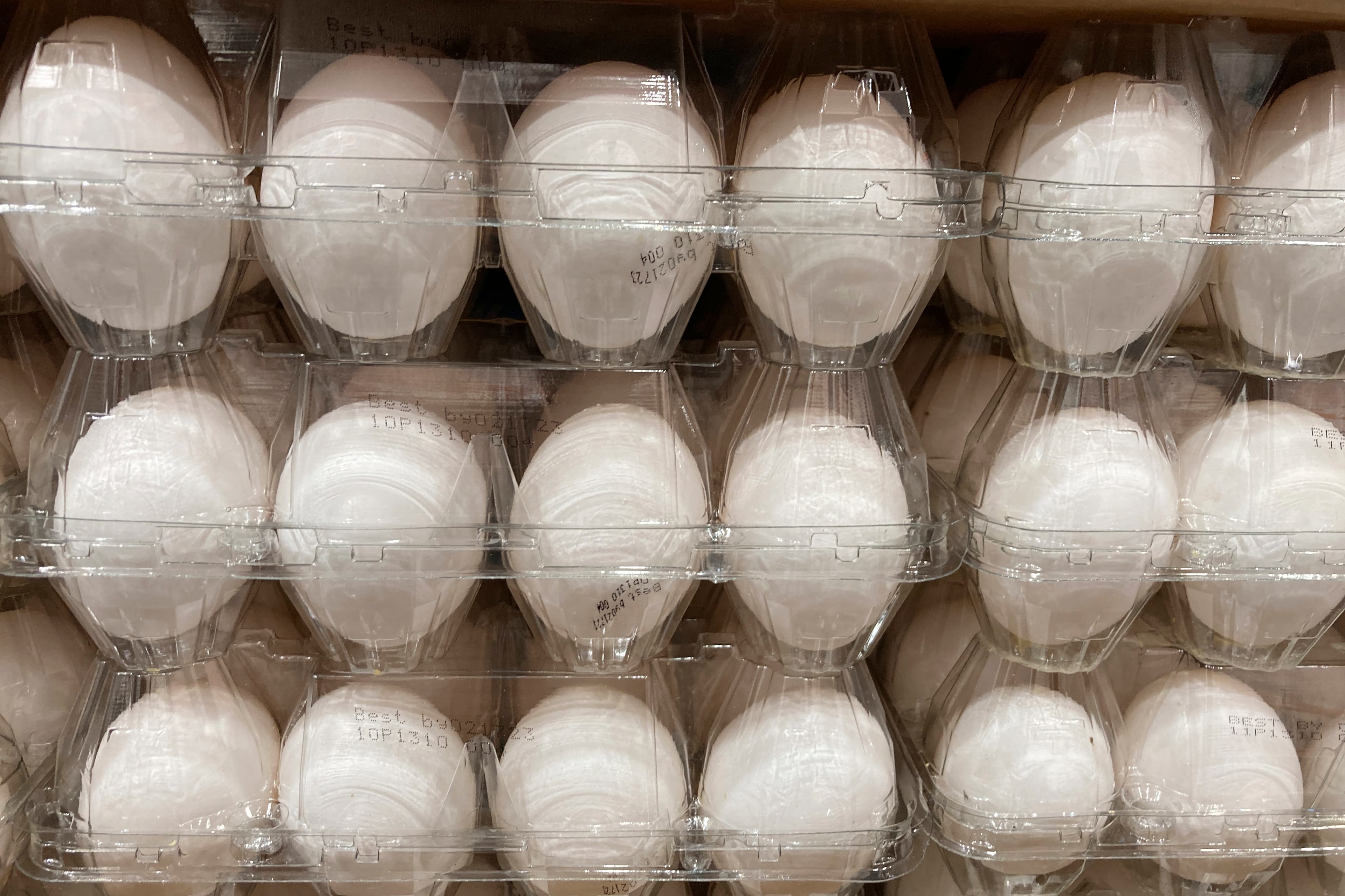 Egg prices could jump another 41%, USDA says, as Trump’s bird flu plan unveiled