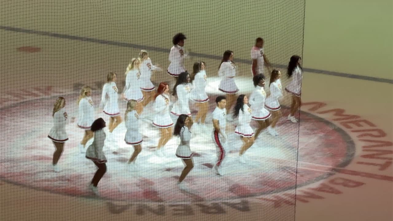 Panthers' dance team features Palm Beach Co. connection