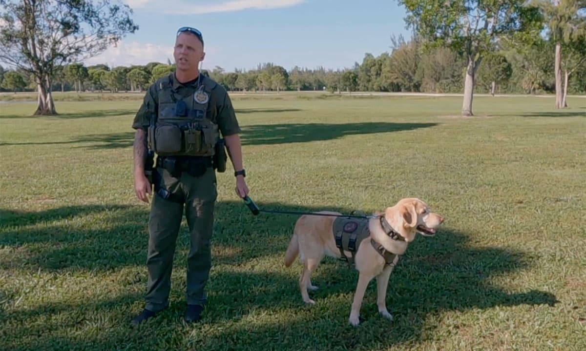 Body cam captures moment FWC K-9 finds missing hunter in remote wildlife area