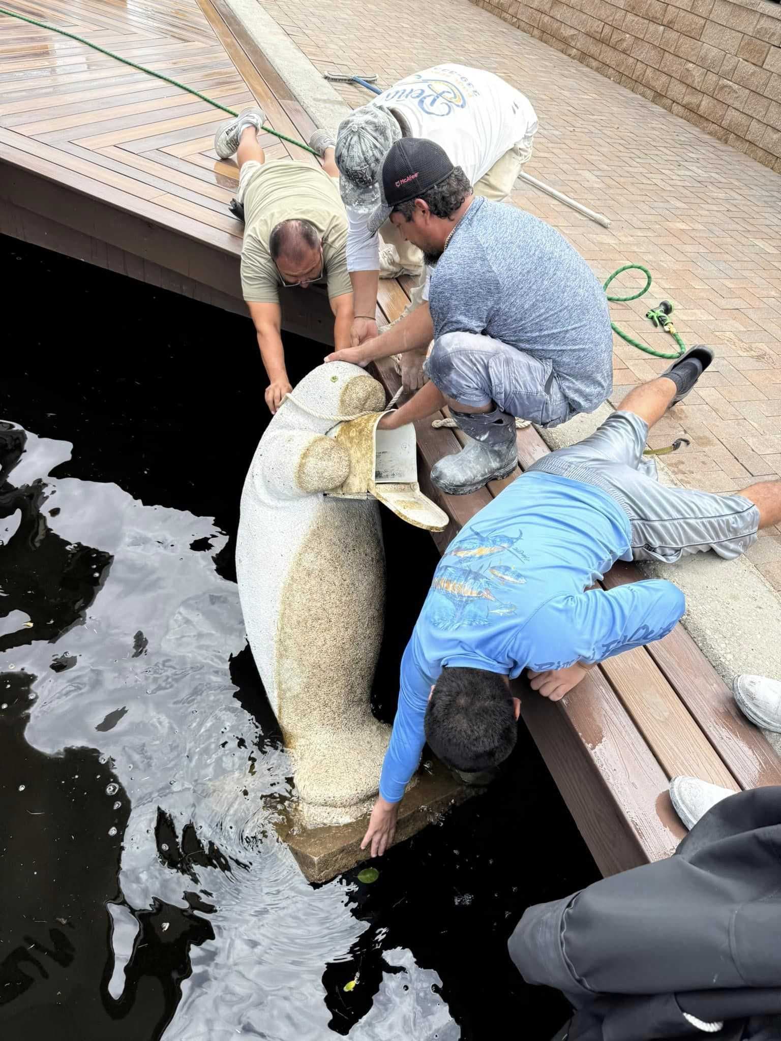 Milton the Mailbox Manatee goes viral after costume contest; trip around Marco Island post-hurricane