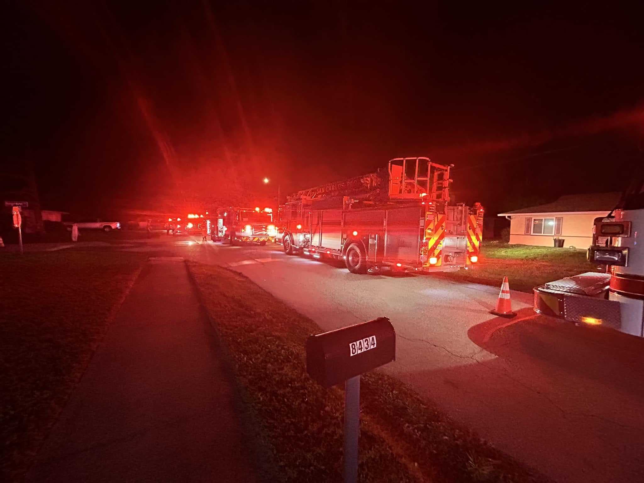 Adult, children and dog escape San Carlos Park fire