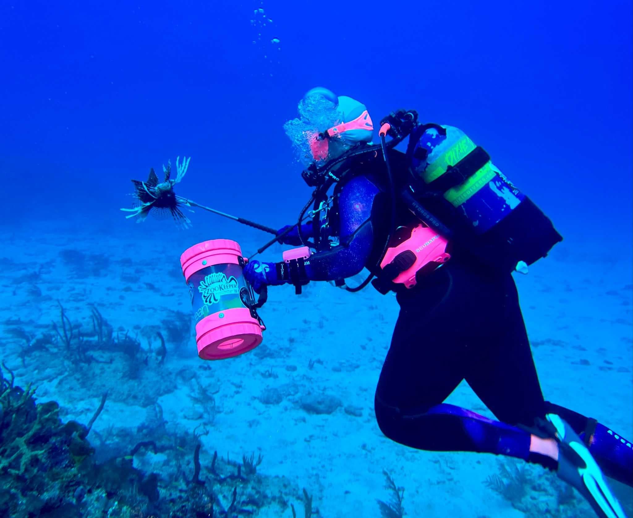 Florida Fish and Wildlife Conservation Commission to hold Lionfish Festival