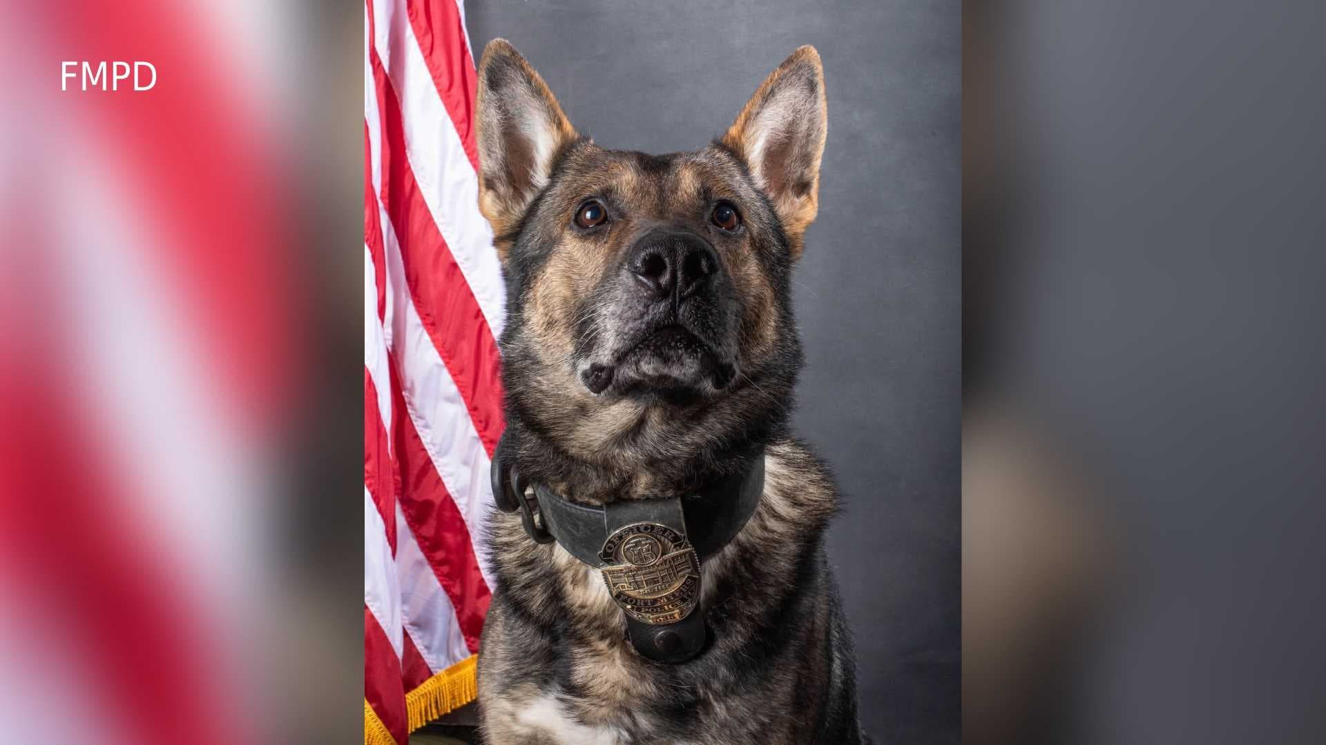 Fort Myers K-9 officer helps get dangerous drugs off street