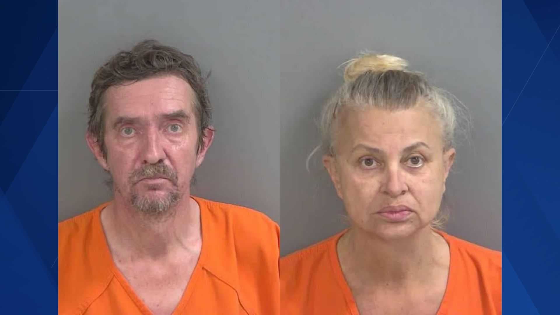 57 cats rescued from Marco Island residence, breeder couple faces animal cruelty charges