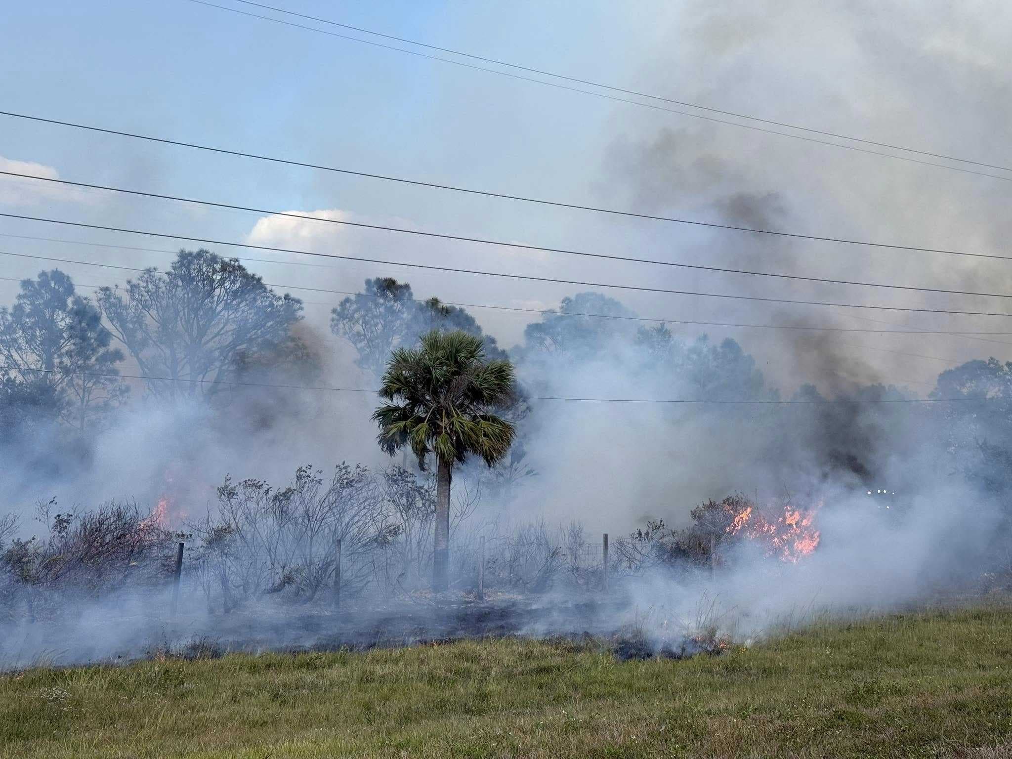 Vehicle fire ignites brush in North Port, impacts northbound I-75 traffic near mile marker 171
