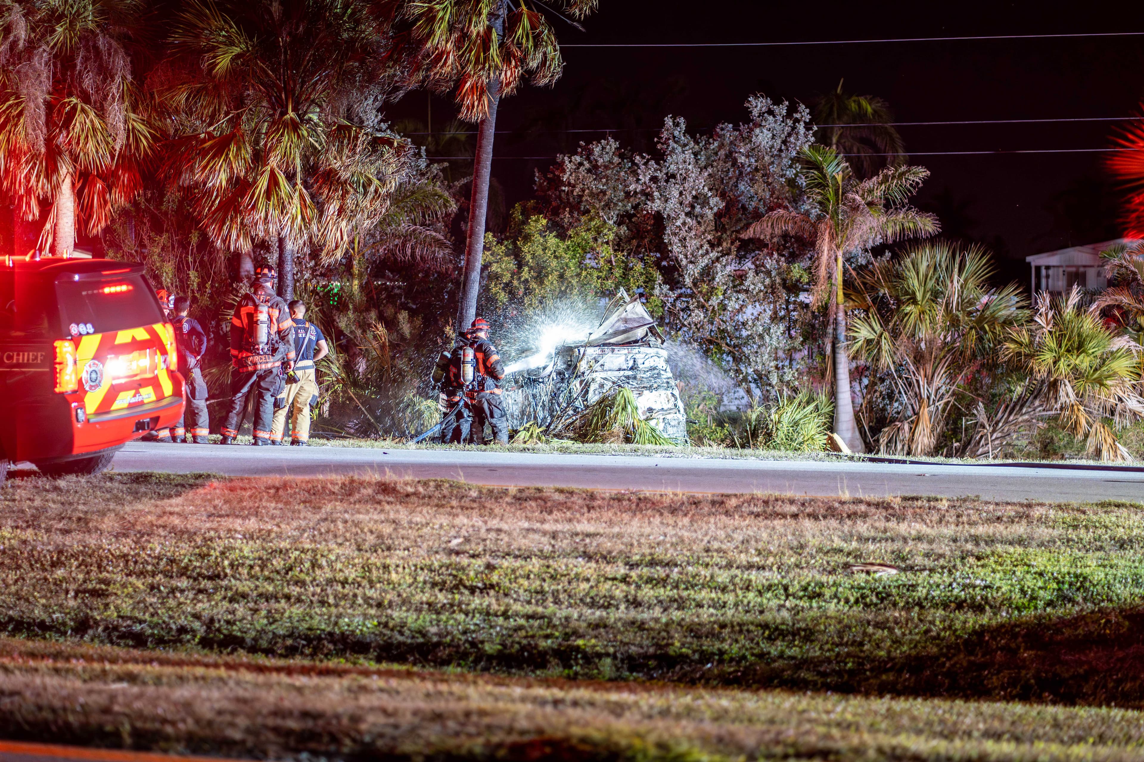 1 dead after car strikes tree, catches fire in Iona