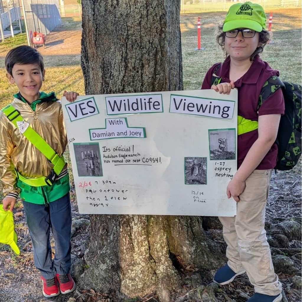 Vineyards Elementary students find bald eagle nest, earn recognition from Audubon