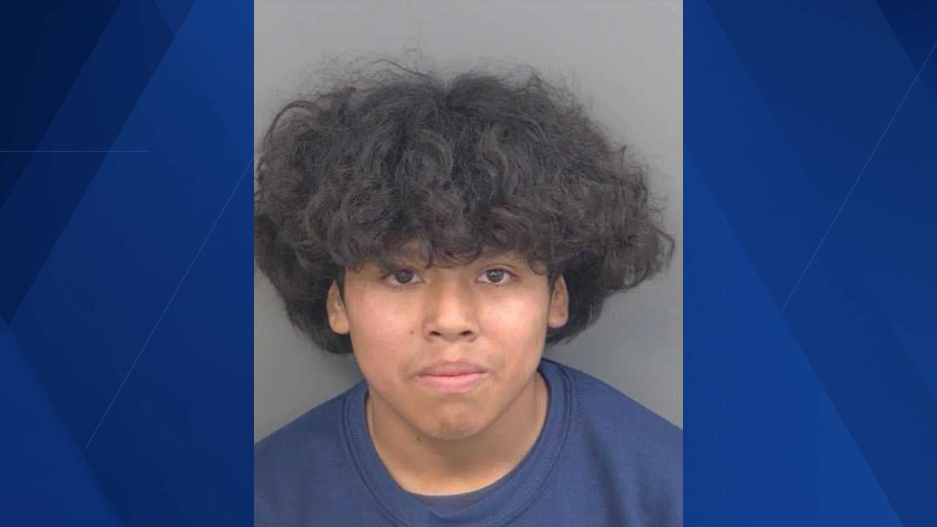 Collier County woman claims gun used in deadly teen shooting was hers