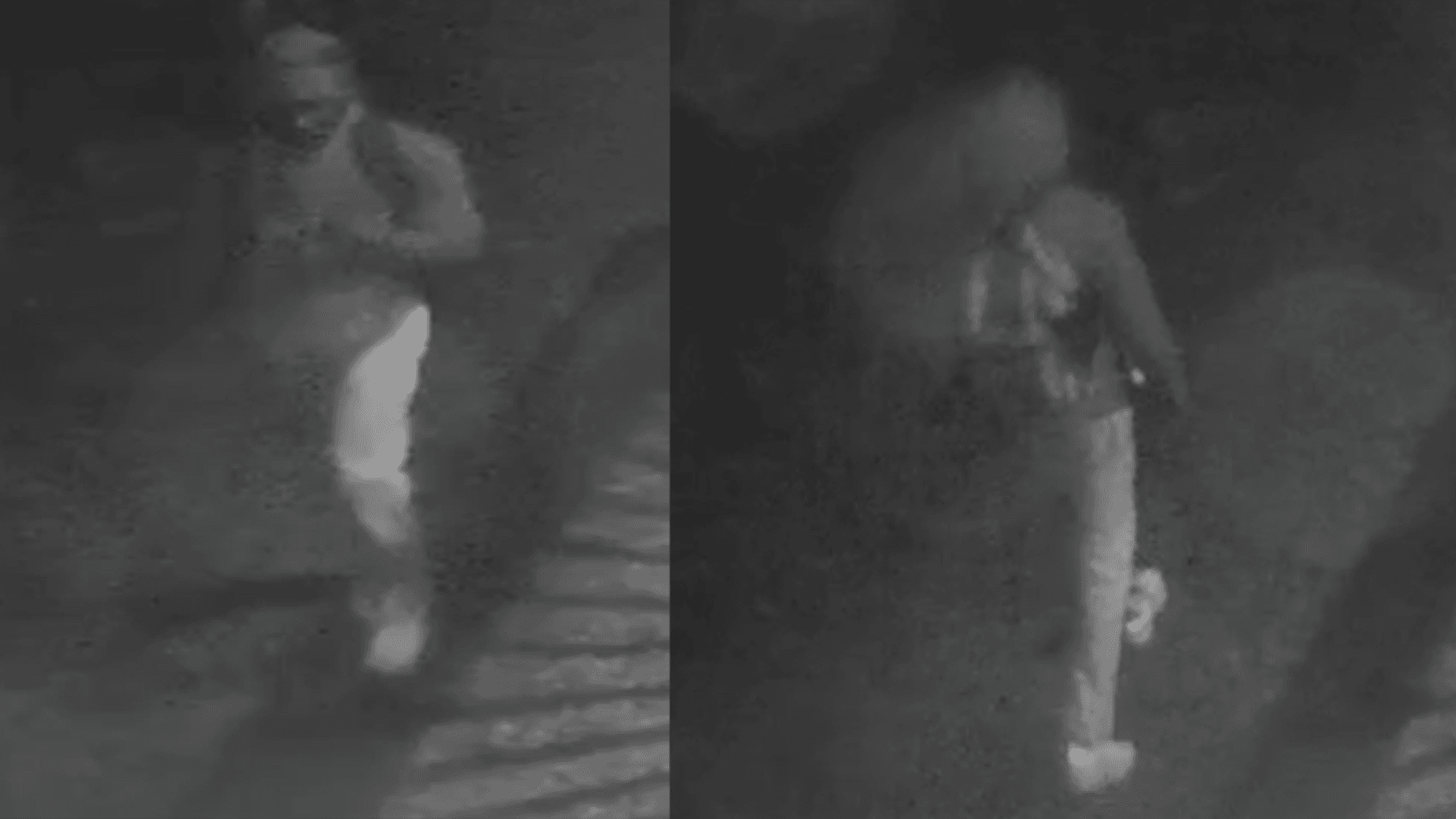 Fort Myers police search for suspect in $7K theft from SWFL real estate academy